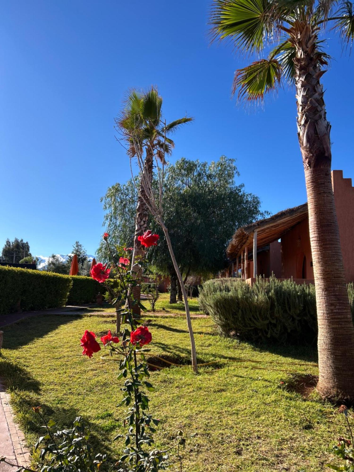 Les Orangers De L'Ourika Hotel Douar Akkara Exterior photo