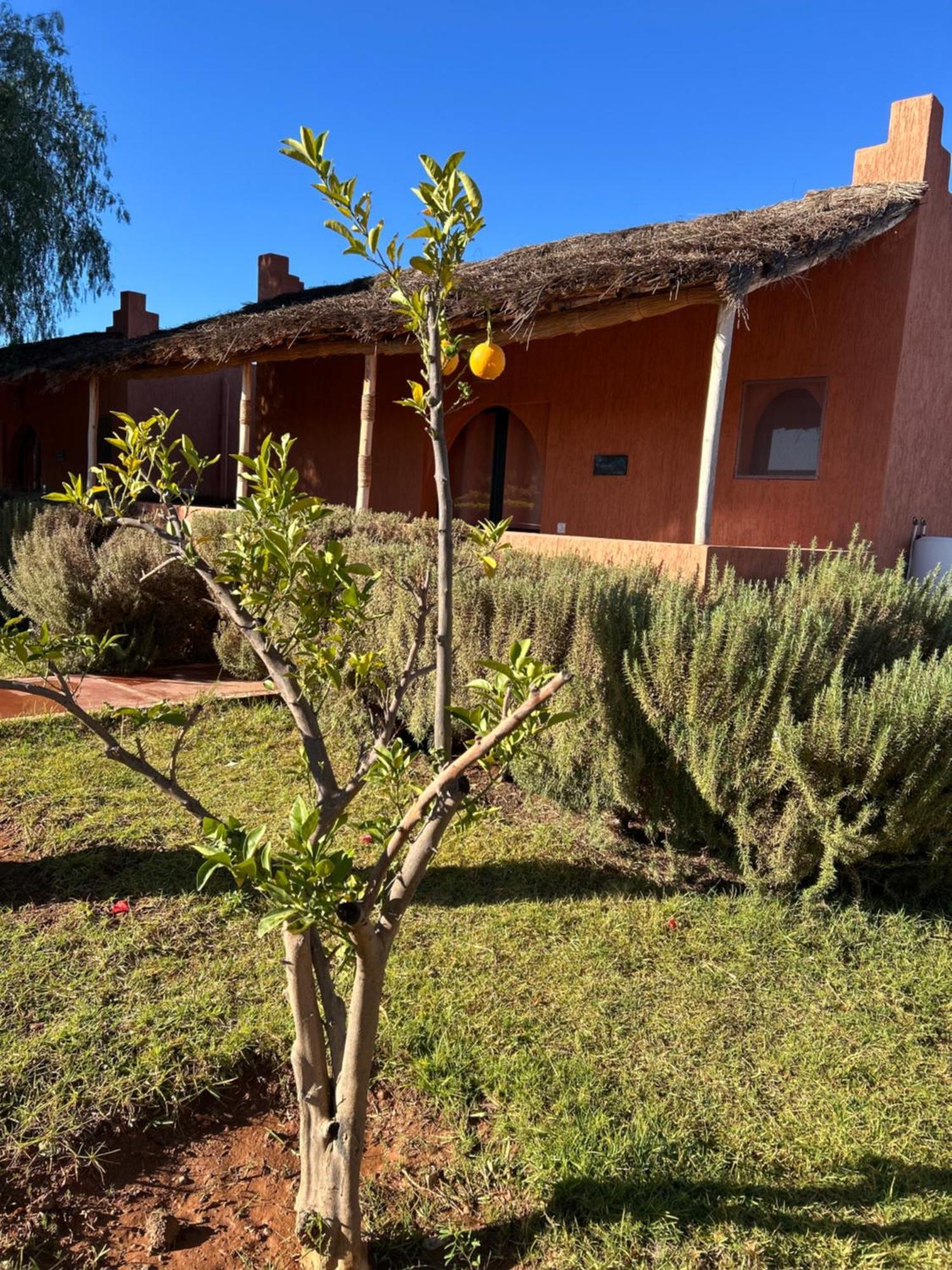 Les Orangers De L'Ourika Hotel Douar Akkara Exterior photo